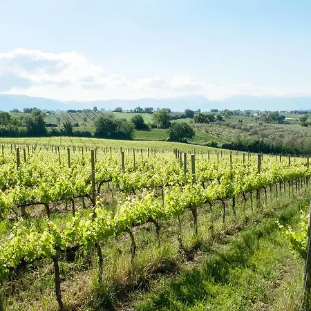 Podere Fonte Sala 102s Казале