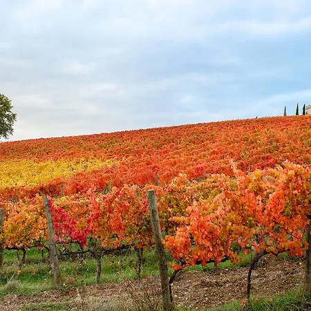 Podere Fonte Sala 102s